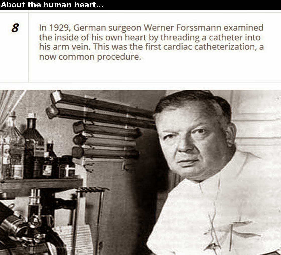 Chuck's Fun Page 2 Human Heart trivia 25 images