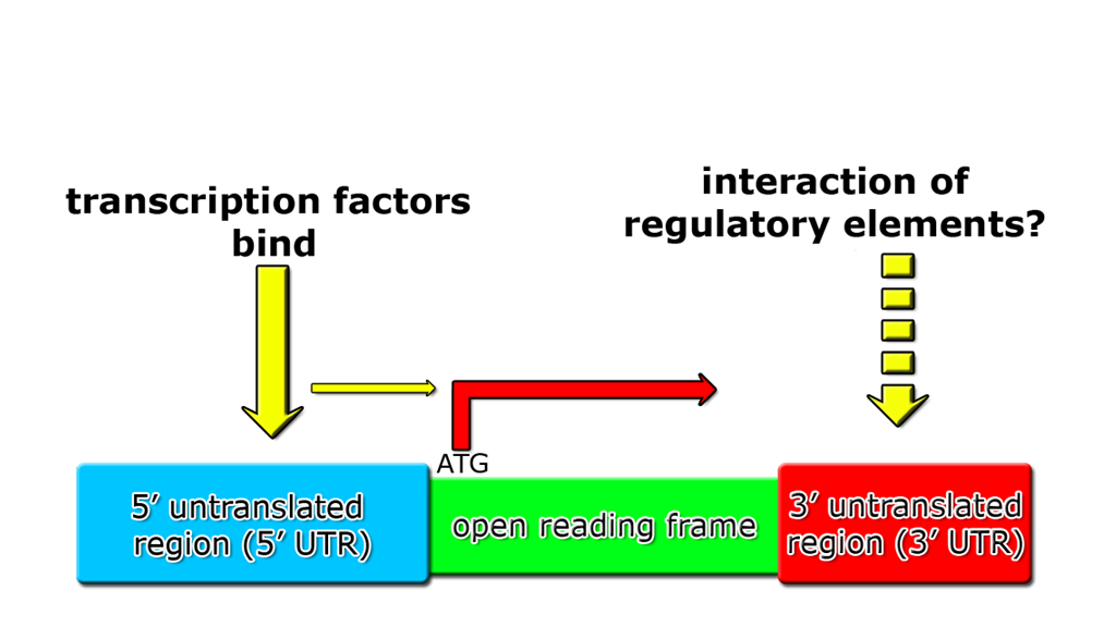 рамка школьная с книжками. Open reading frame. пурим рамка. рамка для дестког осада. рамка детская с книгами.
