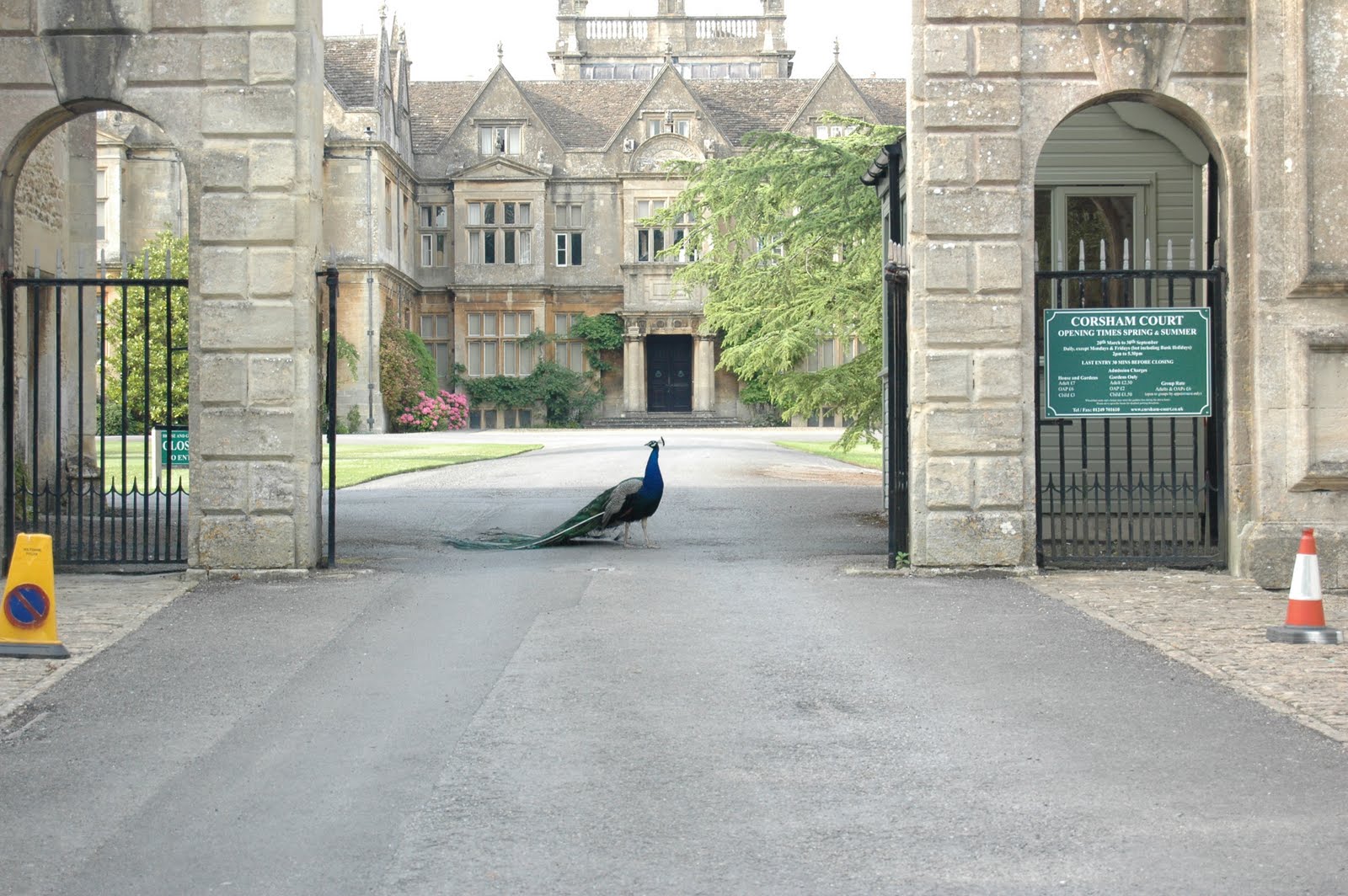 My Work Experience Corsham, Most Famous