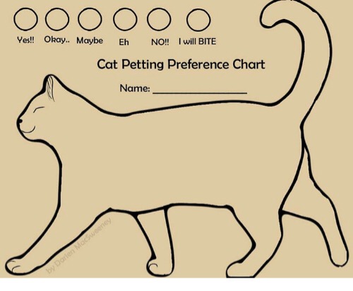 Chart Cat