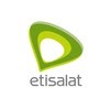 Infotainment Team Leader | Etisalat Misr | Egypt