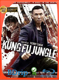 Kung Fu Jungle (2014) BDRIP 1080p Latino [GoogleDrive] SXGO