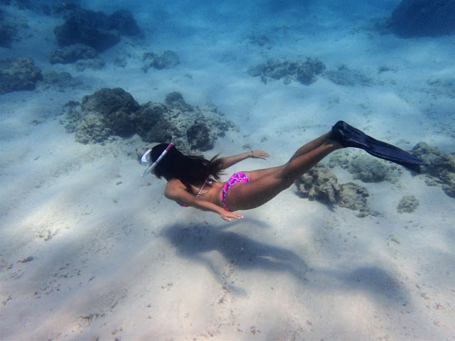 バリ島発、ギリ3島シュノーケリング専門ツアー、ポイントマップ