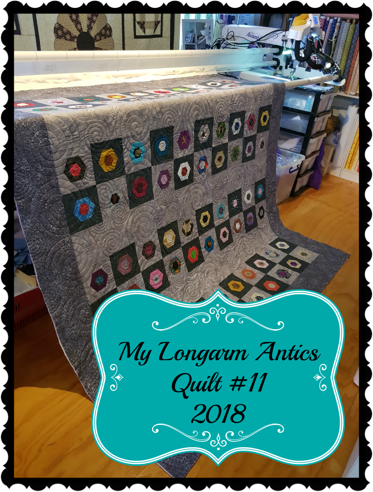 Darvanalee Designs Studio Longarm Quilting Antics Quilt 11 2018