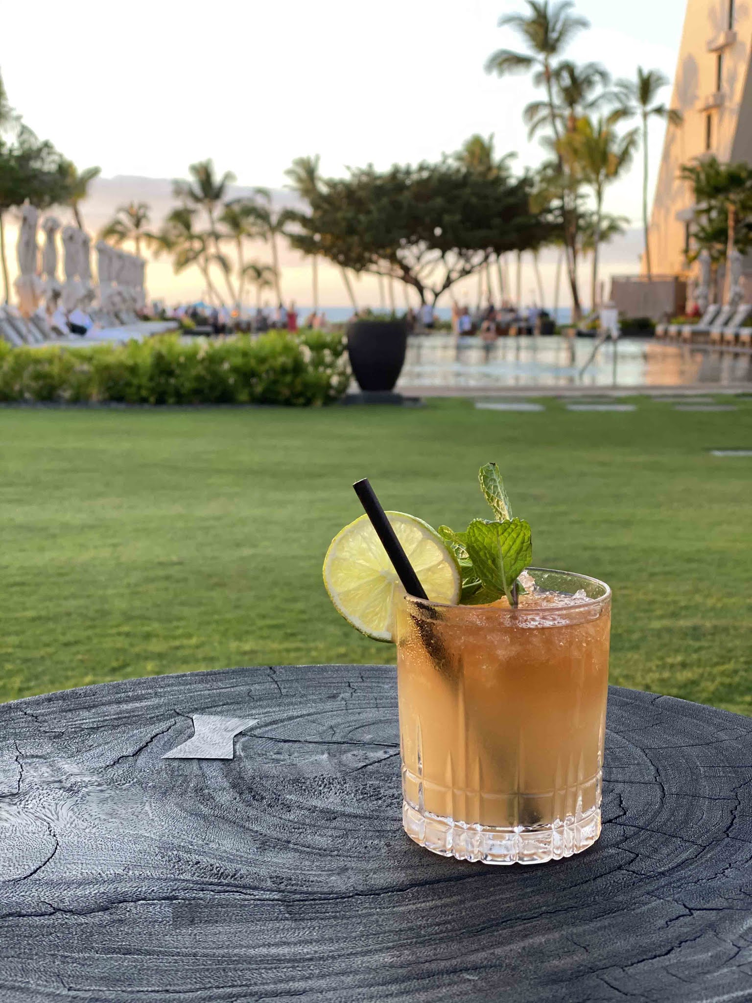 Hawaii Mom Blog Hā Bar at Mauna Lani