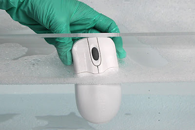 Seal Shield Mouse Seal Shield Mouse