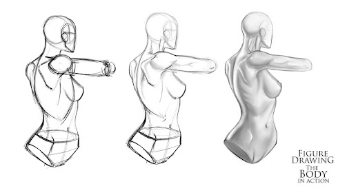 Figure Drawing - The Body in Action