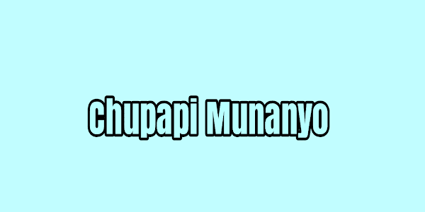 What Does 'Chupapi Munanyo Munyonyo' Mean on TikTok?