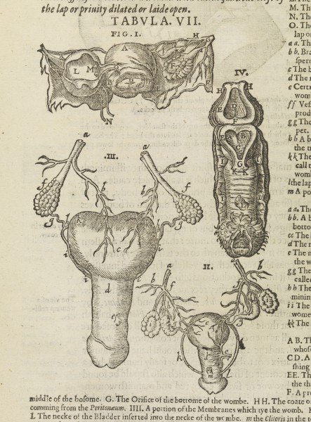 Страницы из книги Mikrokosmographia