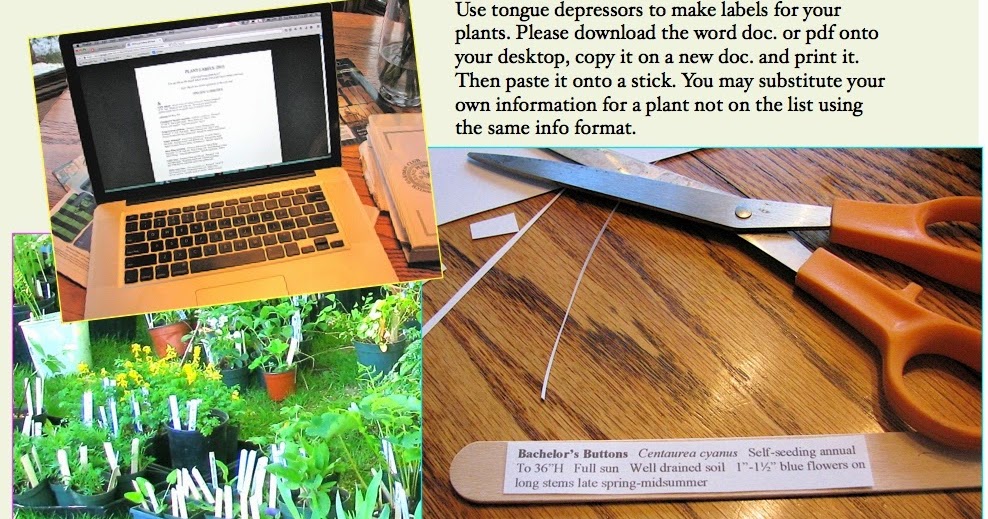 Ipswich Garden Club Annual Plant Sale