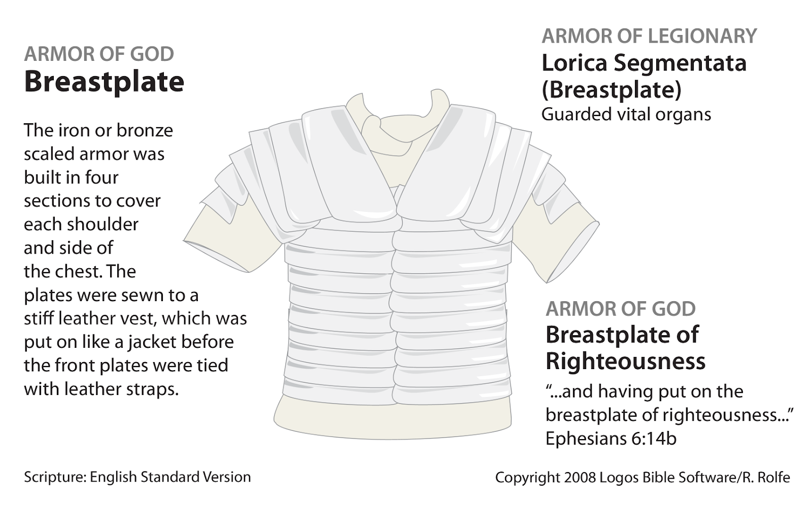 LauraJean's Life Notes