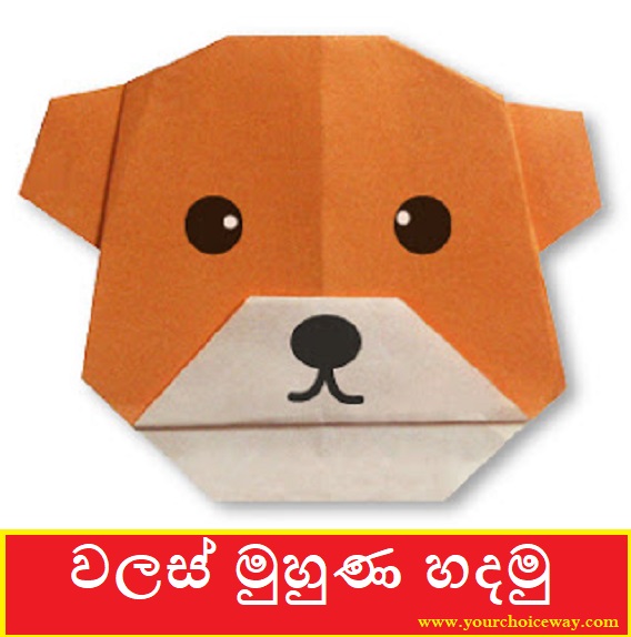 වලස් මුහුණ හදමු (Bear (Face)) - Your Choice Way