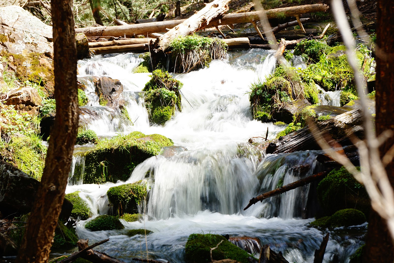 Lazarow WorldHikeAbout 45.08 and 45.09 Arizona Tonto National