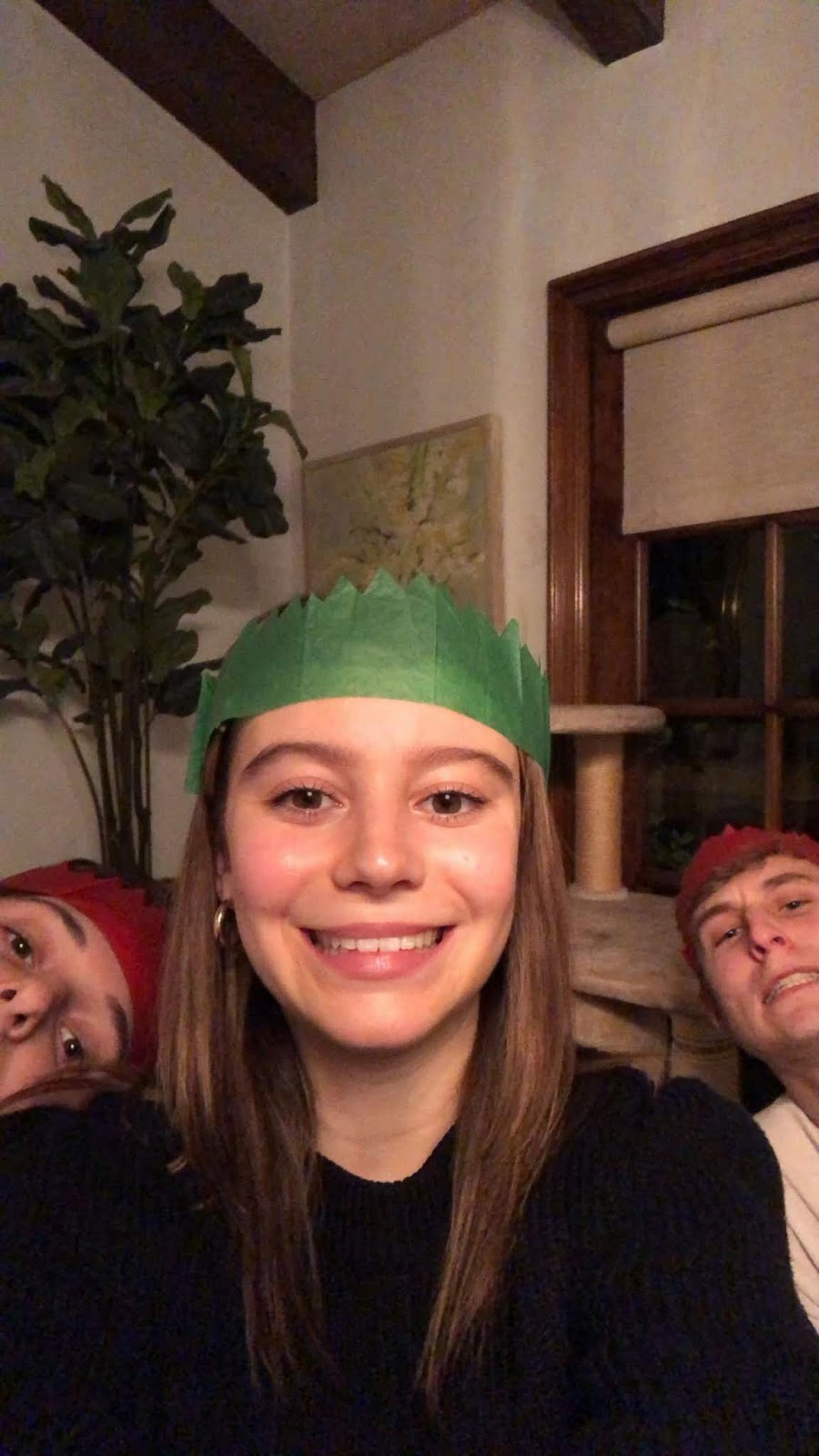 G. Hannelius – Social Media 01/13/2020