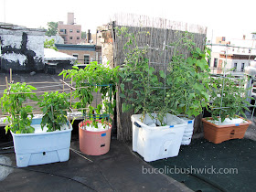 Container Vegetable Gardening