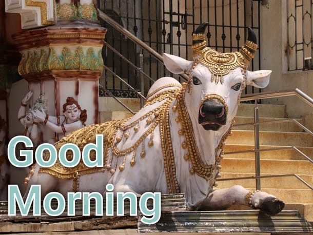 Good Morning God images Free Download God photos Wallpapers Pics - Dear  Hindi- Meaning in Hindi