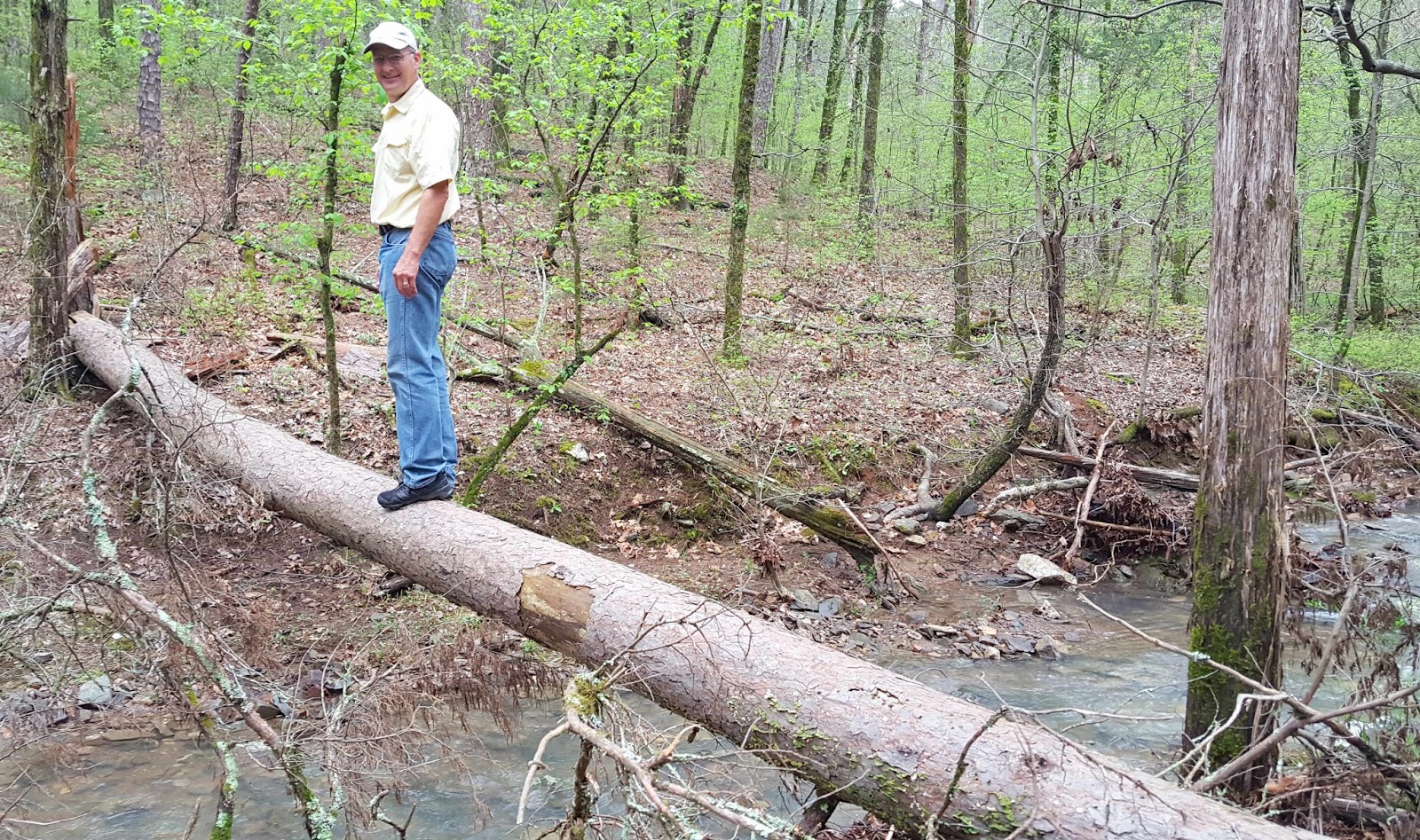 Wandering His Wonders Beavers Bend State Park