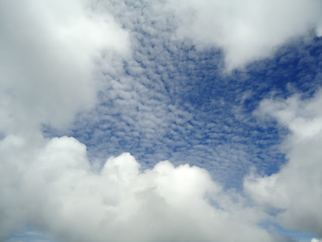 DSC04727.JPG