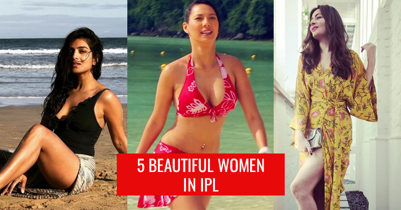 Top 5 Beautiful Women In Ipl Top 10 Of Bollywood Hollywood