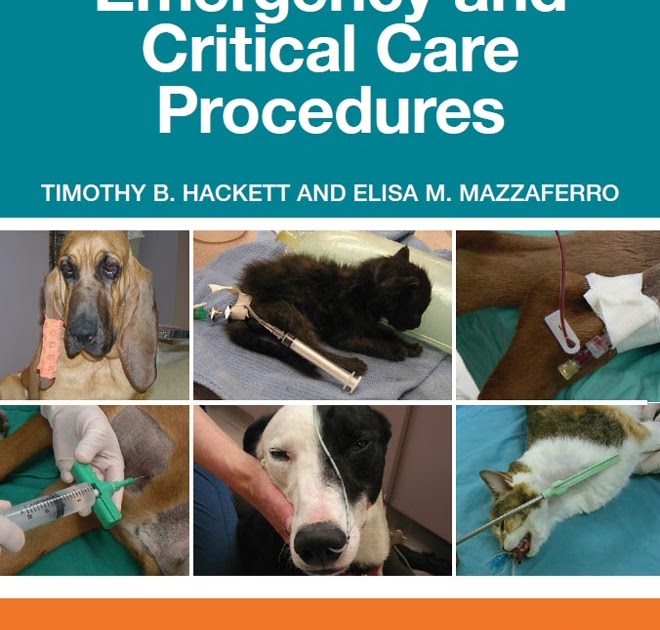 Veterinary Emergency and Critical Care Procedures, 2nd Edition