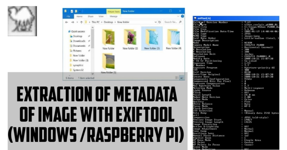 Jeffreys image metadata viewer. Jeffreys image metadata viewer