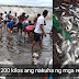 Mga Residente sa Misamis, Pinagkaguluhan ang Napadpad na ito sa Dalampasigan