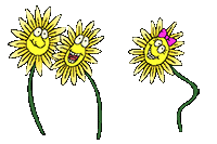 60 Gambar Animasi  Tumbuhan  Bunga Cantik Untuk Power Point 