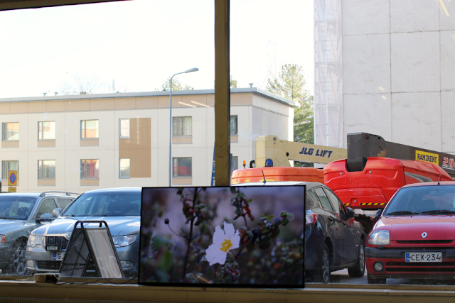 Image of a video work Necropolis by Trestalkers. A video screen leans to a window, with cars parked outside and an image of a flower on the screen. Image of a video work Necropolis by Trestalkers. A video screen leans to a window, with cars parked outside and residential flats behind them, and an image of a flower on the screen.