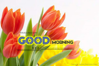 good morning images with flowers gif