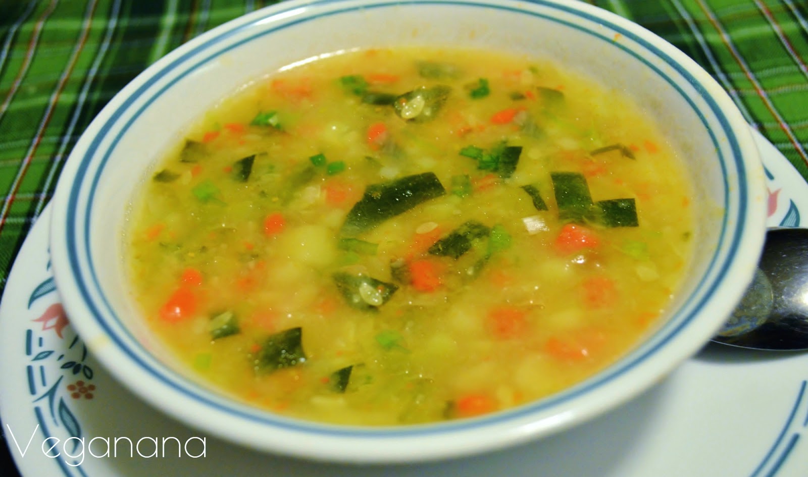 Sopa de Legumes - Veganana