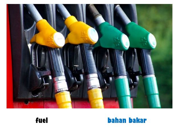 Apa bahasa Inggrisnya bahan?