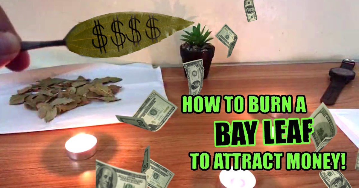 How to manifest Money with Bay leaf Law Of Attraction
