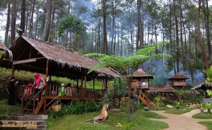 Wisata Dan Harga Ticket Masuk Taman Hutan Jayagiri Lembang