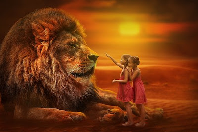 Lion Images Lion Images
