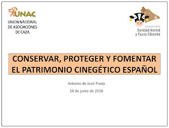 Ponencia UNAC