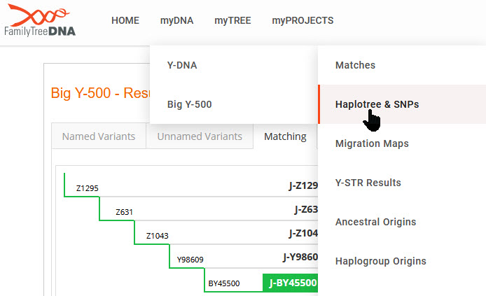 The Ultimate Family Historians: Using the new Family Tree DNA Y-DNA ...