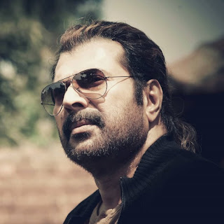 Mammootty Telugu Hit And Flop Movie List