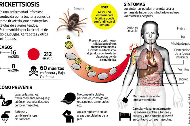 La fiebre adelgaza