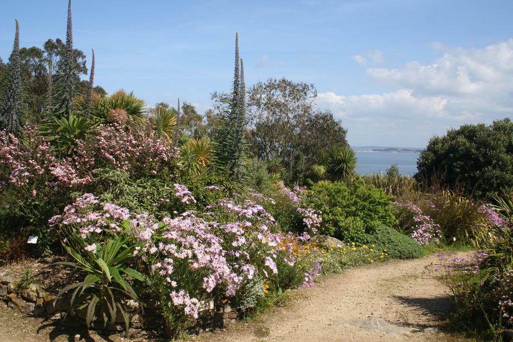 Ma Terre De Bruyere