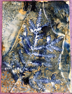 Wet cyanotype_Sue Reno_Image 744