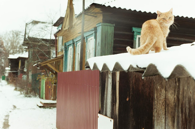 Кимры. Тверская область. Московская улица - Kimry, Tverskaya oblast, Russia. Moscovskaya stree