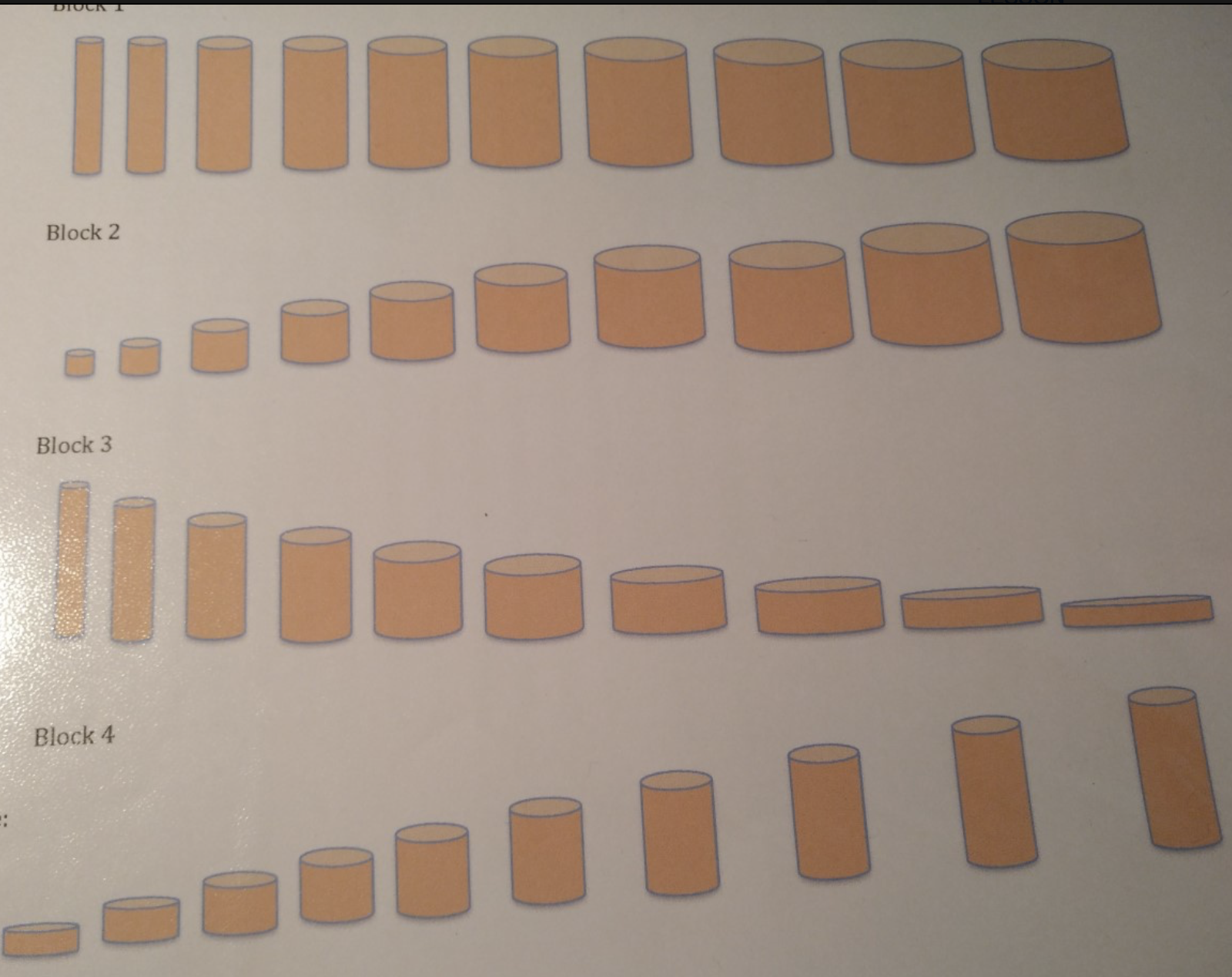 Montessori AMI 3 to 6 CYLINDER BLOCKS