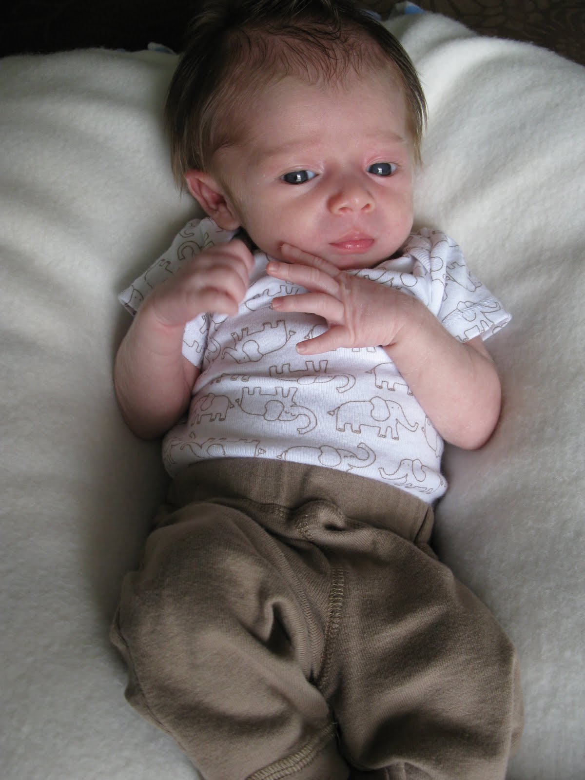 Hornaday Happenings 1 Month Old!