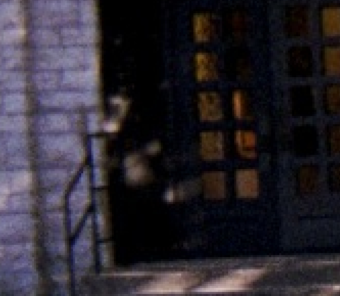 The Time Traveler Rest Stop 2011