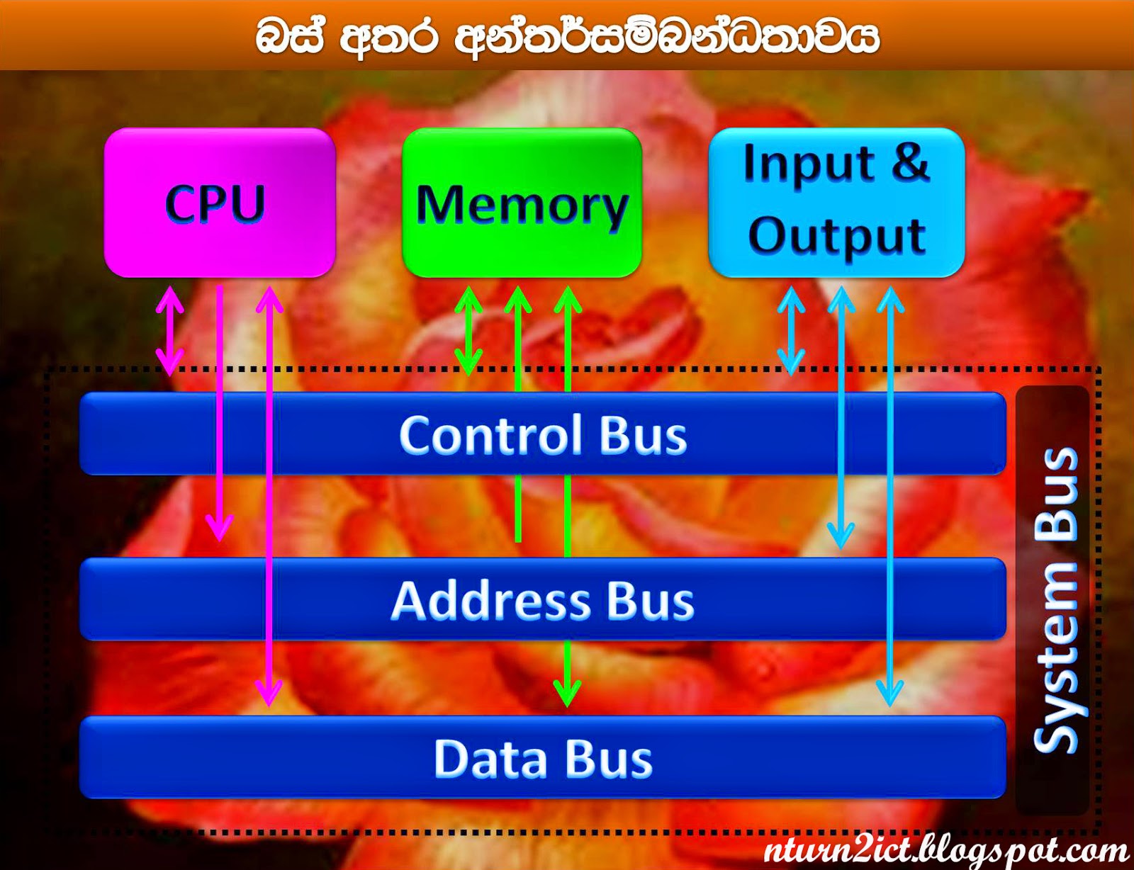 New Turn 2 ICT: Buses
