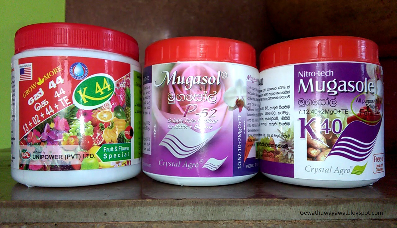 Different Types of Fertilizer in Sri Lanka