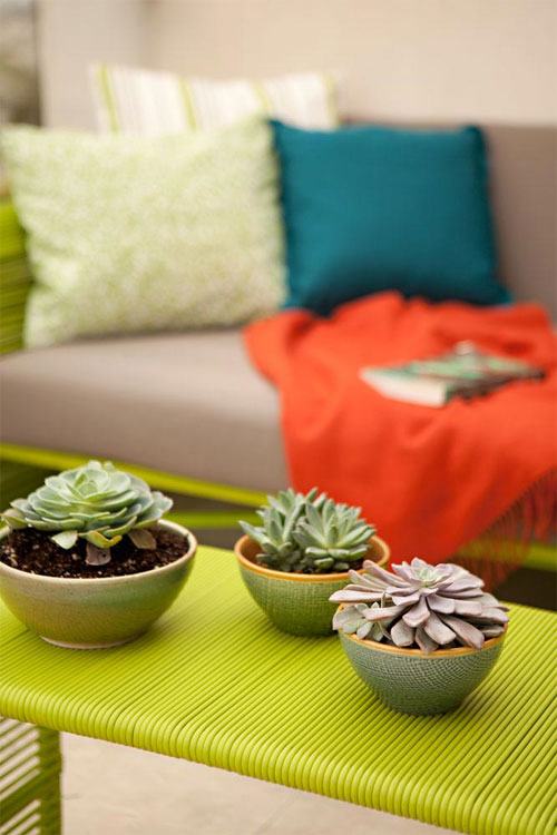 send flowers to colombia Plantas para personas con poco tiempo