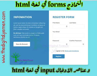 النماذج forms في لغة html وعناصر الادخال input