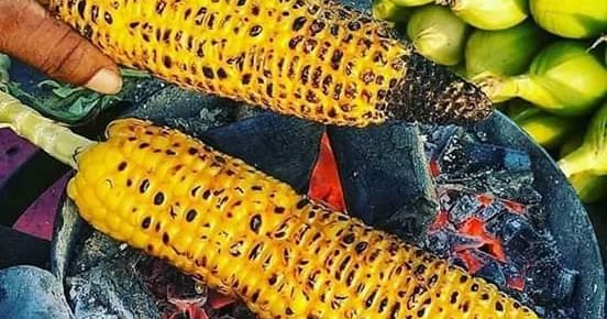 रोजाना भुट्टा खाने से हमारे शरीर को होते हैं ये 5 फायदे, आखरी फायदा है सबसे जरूरी