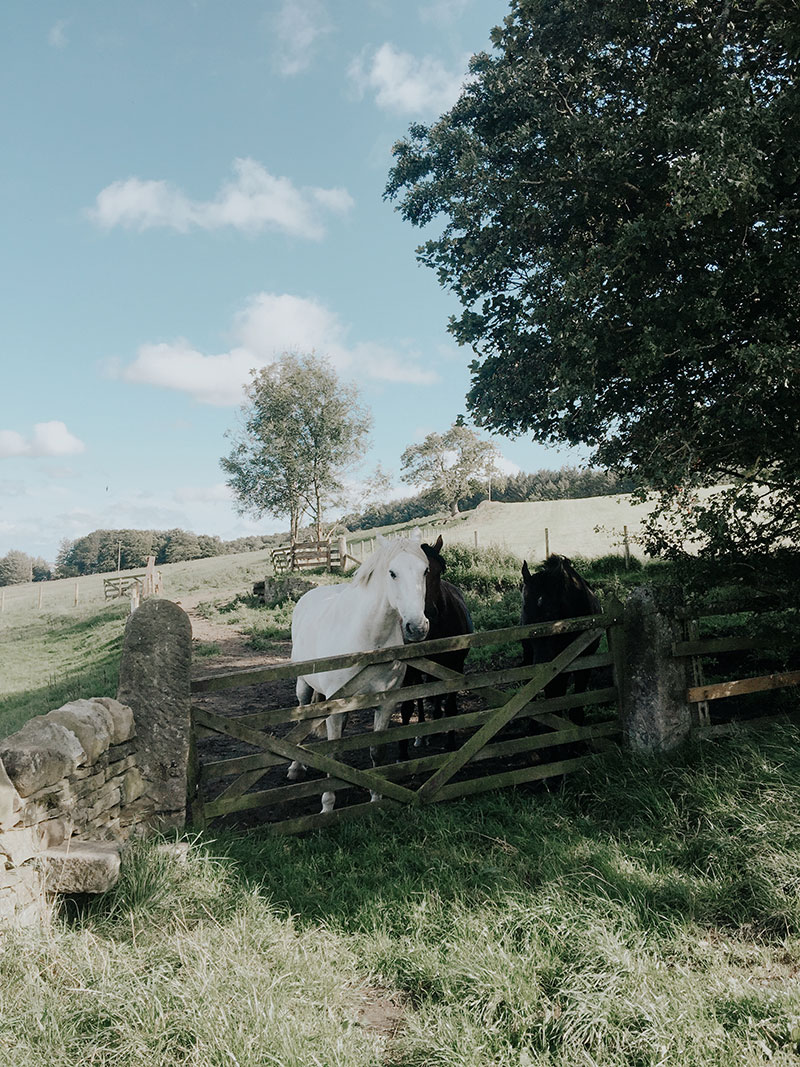 News | Life Lately: A Move to the English Countryside